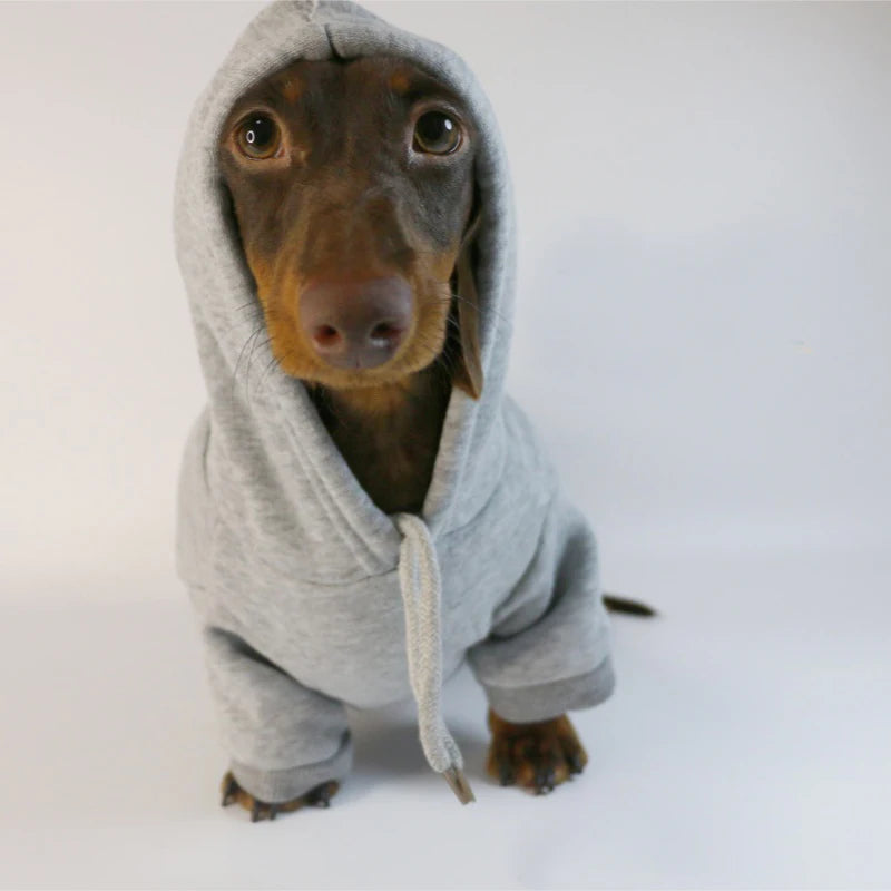 Cool Dog Sausage Hoodie for Small Dogs Warm Puppy Clothes Dachshund Pullover Mascotas Costume Clothing roupa cachorro