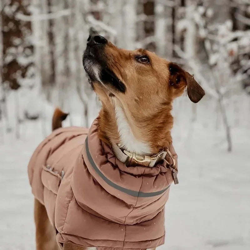 Dog Down Jacket Waterproof Wool Vest Dog Dogs Cat Pet Clothing Pet Dog Winter Warm Coat Dog Clothes for Small Dogs