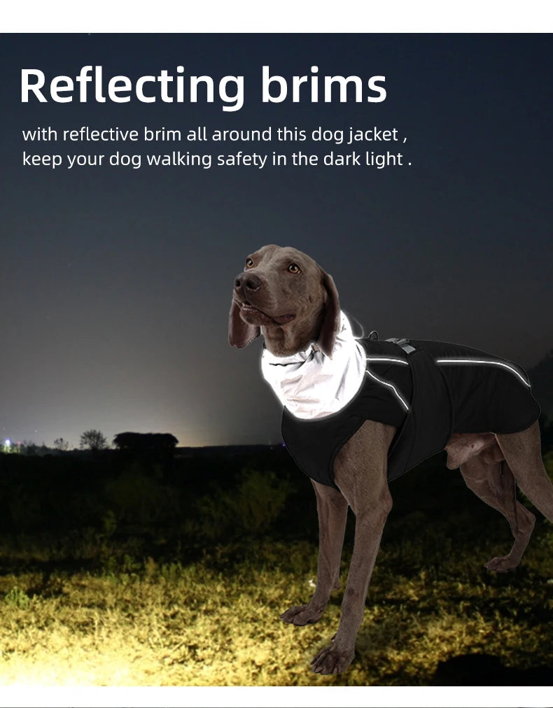 Dog Clothes Luxury Winter Jacket for Small Medium Large Dogs Waterproof Soft Padded Warm Pet Coat Safety Reflective  Dog Outfit