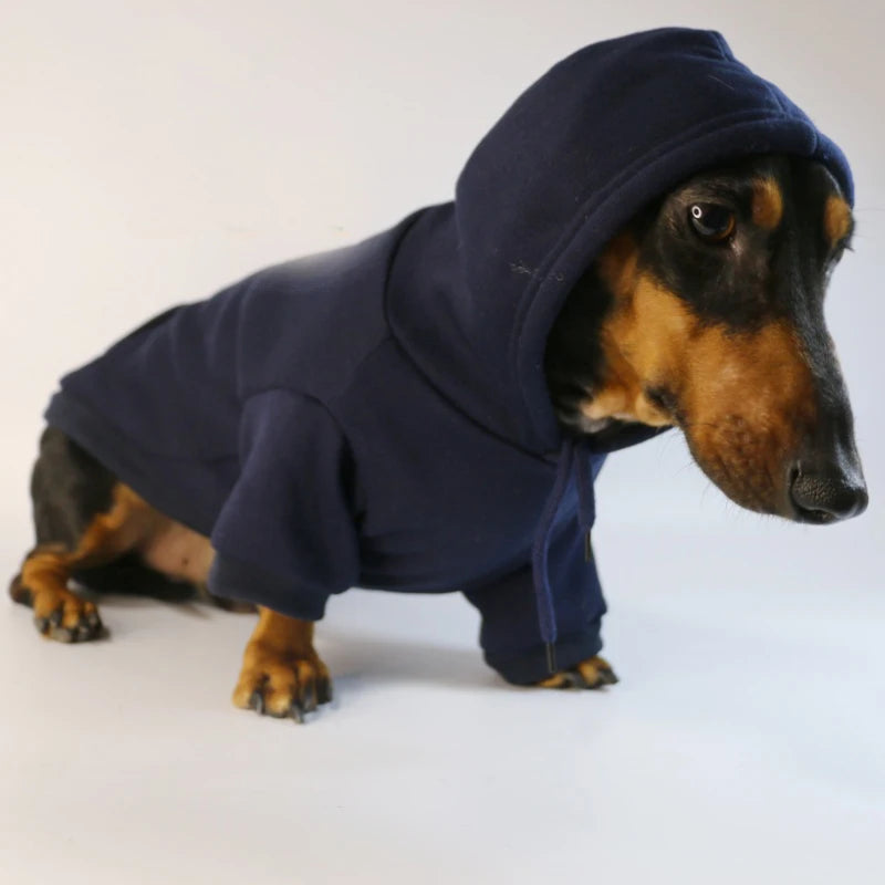 Cool Dog Sausage Hoodie for Small Dogs Warm Puppy Clothes Dachshund Pullover Mascotas Costume Clothing roupa cachorro