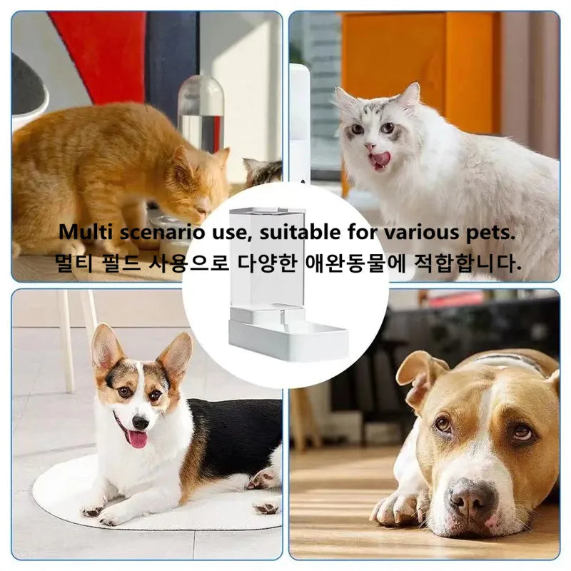 Dog Automatic Feeder Transparent Automatic Gravity Cat Water Bowl High Capacity Food Storage