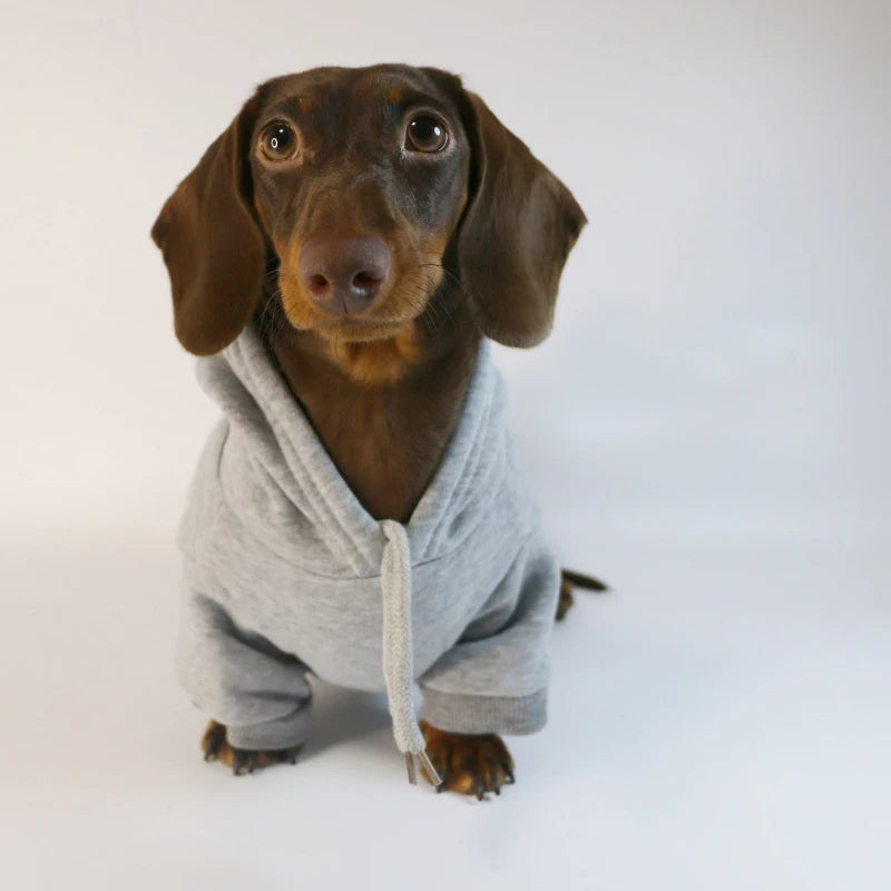 Cool Dog Sausage Hoodie for Small Dogs Warm Puppy Clothes Dachshund Pullover Mascotas Costume Clothing roupa cachorro