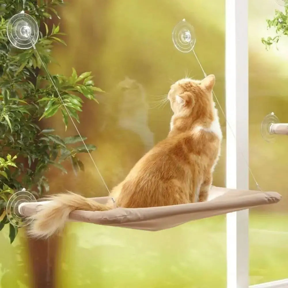 Cat hammock, cat window suction cup, cat nest, cat climbing frame, suspended balcony, glass, sun drying, pet cat bedding supplie