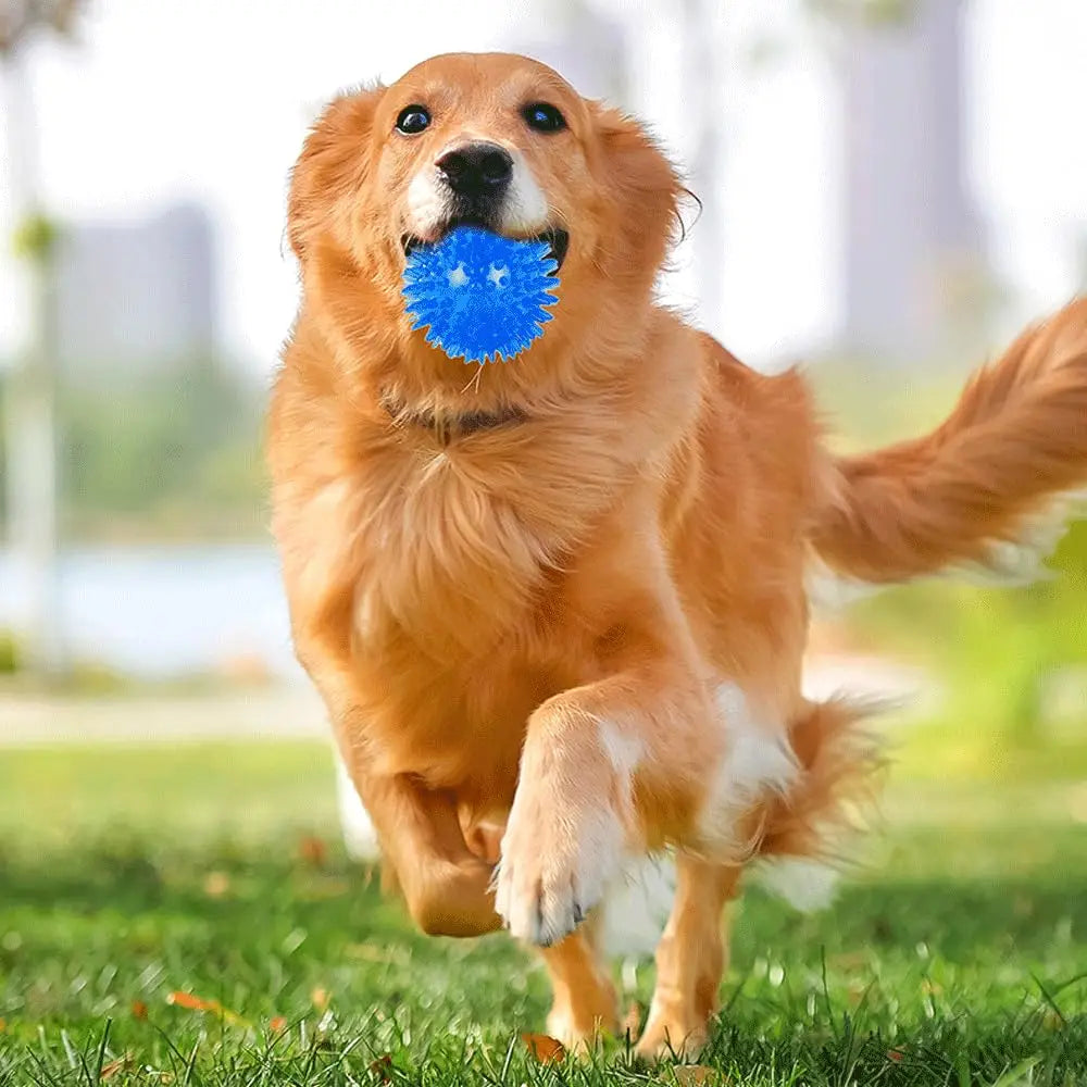 3/6Pcs Squeaky Dog Ball Toys,Dog Chew Balls for Boredom, Floatable Pool Dog Toys,Puppy Teeth Cleaning Toys for Small Medium Dogs