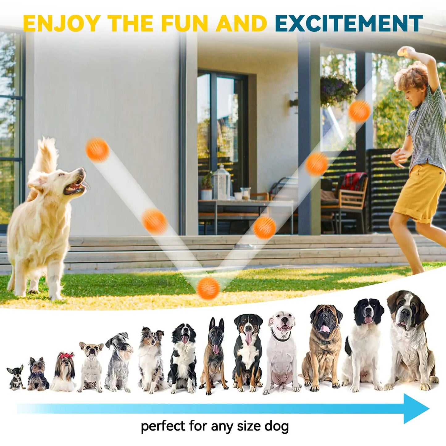3/6Pcs Squeaky Dog Ball Toys,Dog Chew Balls for Boredom, Floatable Pool Dog Toys,Puppy Teeth Cleaning Toys for Small Medium Dogs