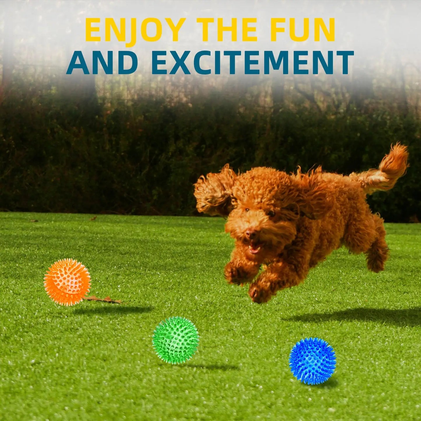 3/6Pcs Squeaky Dog Ball Toys,Dog Chew Balls for Boredom, Floatable Pool Dog Toys,Puppy Teeth Cleaning Toys for Small Medium Dogs