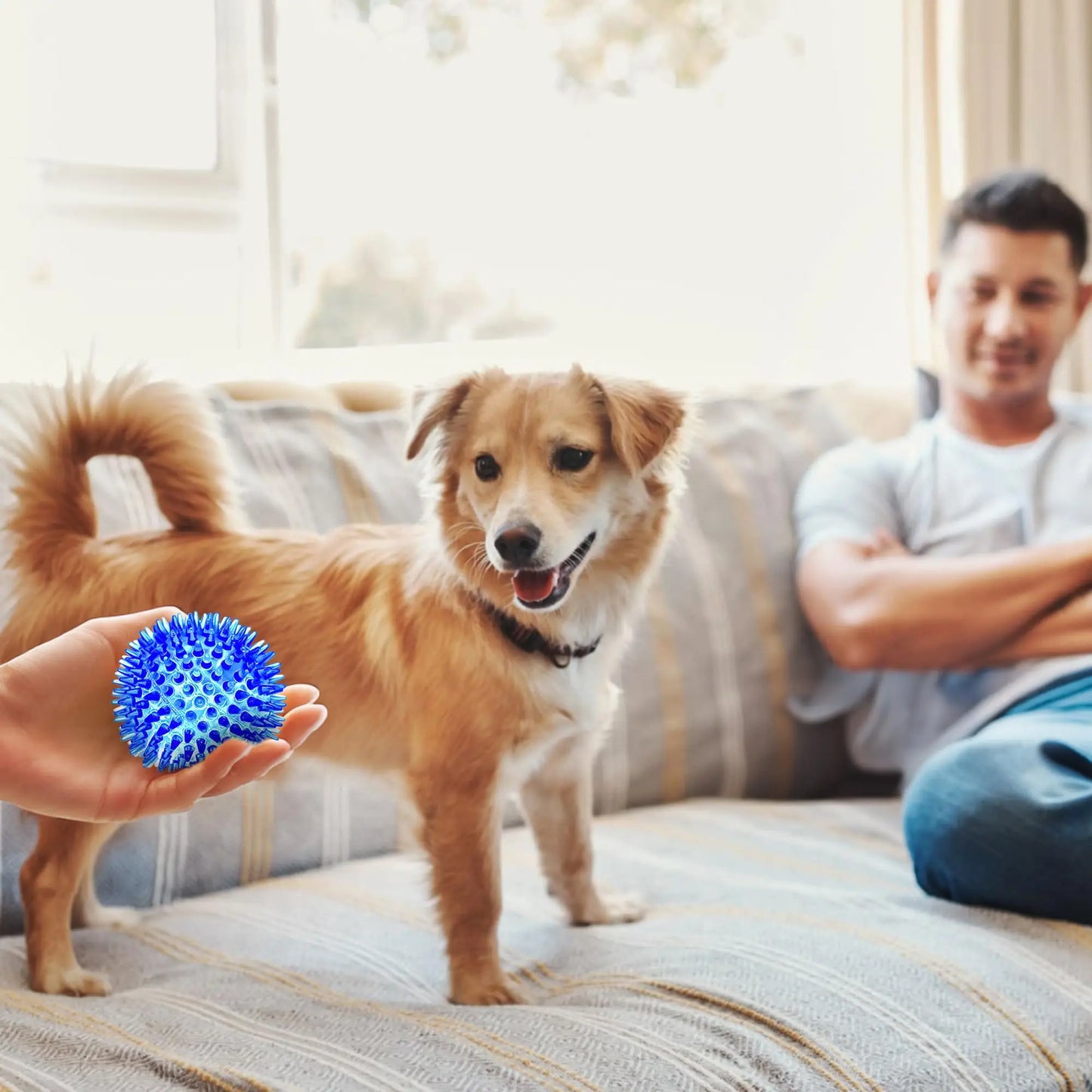 3/6Pcs Squeaky Dog Ball Toys,Dog Chew Balls for Boredom, Floatable Pool Dog Toys,Puppy Teeth Cleaning Toys for Small Medium Dogs