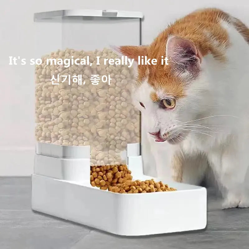 Dog Automatic Feeder Transparent Automatic Gravity Cat Water Bowl High Capacity Food Storage