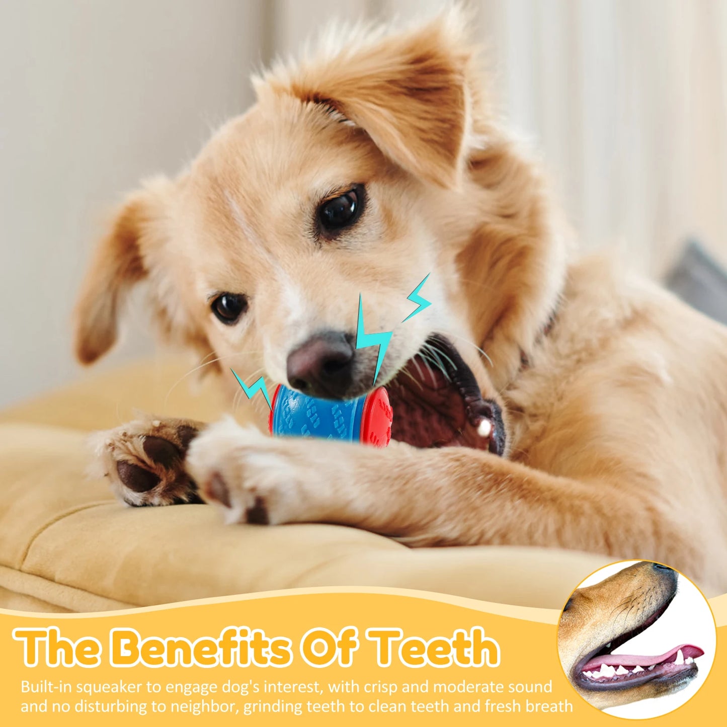 1Pcs Squeaky Balls Toys Dogs Interactive Toys TPR Dog Chew Toy for Dog Pet Teeth Cleaning Bite Resistance  Pet Supplies